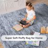 5 x 7 Feet Modern Rectangular Soft Shag Area Rug for Living Room Bedroom