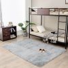 5 x 7 Feet Modern Rectangular Soft Shag Area Rug for Living Room Bedroom