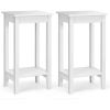 Set of 2 Versatile 2-Tier End Tables with Storage Shelf