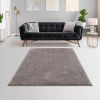 Camdyn Super Soft Polyester Shag Area Rug