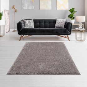 Camdyn Super Soft Polyester Shag Area Rug (Color: as Pic)