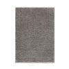 Camdyn Super Soft Polyester Shag Area Rug